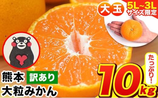 ＜先行予約＞ みかん 訳あり 大粒 ミカン 10kg 10キロ 熊本 ちょっと 訳あり 傷 5L～3Lサイズ 約10kg たっぷり 熊本県産 熊本県 期間限定 フルーツ 旬 柑橘 ご家庭用 長洲町 大粒《2027年1月中旬-2月末頃出荷》みかん みかん みかん みかん みかん みかん みかん みかん みかん---fn_notbmkn_bc1_r8_12000_10kg---