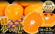 夢の恵 みかん 約2.5kg(20玉～30玉前後) 熊本県産 （長洲町産含む） 糖度12度以上 ブランドみかん ブランド 贈答用 贈り物《11月上旬-12月末頃出荷》 熊本県 長洲町---ng_yumemi_af11_r7_8000_2kg---