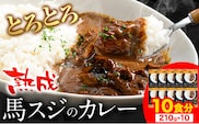 たっぷり！馬スジカレー 10食セット《60日以内に出荷予定(土日祝除く)》株式会社千興ファーム 馬スジ カレー お肉 馬すじ カレーライス 馬肉 贈答 ギフト グルメ お取り寄せ 熊本県 長洲町 送料無料 個包装 大人気 簡単調理---sn_fbsjikr_60d_r8_17000_10set---