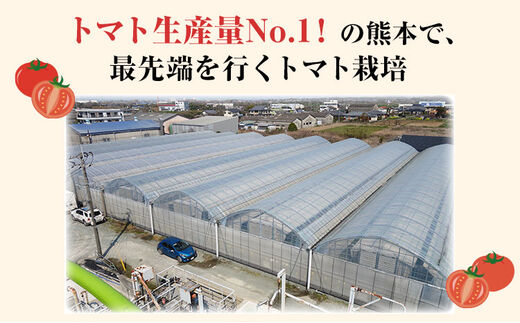 超絶トマットロケチャップ(200g×4個) 四ツ山食品《45日以内に順次出荷