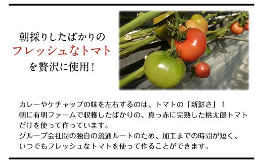 超絶トマットロケチャップ(200g×4個) 四ツ山食品《45日以内に順次出荷