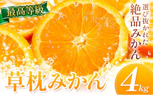 ＜先行予約＞草枕みかん 約4kg 《11月上旬-12月上旬頃出荷》熊本県 長洲町 フルーツ 柑橘 みかん ミカン 草枕 デザート 送料無料 ---ng_ksm_ad11_26_10000_4kg---