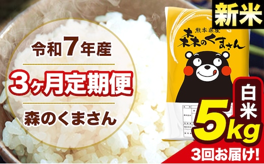 新米 令和7年産 森のくまさん 【3ヶ月定期便】白米 5kg 5kg×1袋 計3回お届け 《お申込み翌月から出荷》 お米 こめ 熊本県産 ご飯 備蓄---mk7tei_37500_5kg_mo3_ng_h---