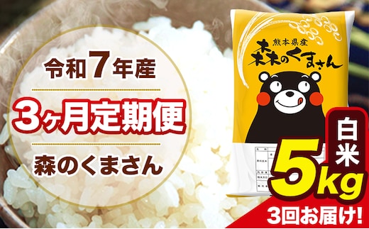 令和7年産 森のくまさん 【3ヶ月定期便】白米 5kg 5kg×1袋 計3回お届け 《お申込み翌月から出荷》 お米 こめ 熊本県産 ご飯 備蓄---mk7tei_37500_5kg_mo3_ng_h---