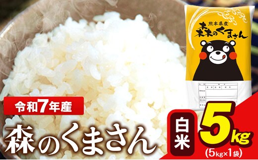 令和7年産 森のくまさん 5kg × 1袋 白米 熊本県産 単一原料米 森くま《7-14日以内に出荷予定(土日祝除く)》送料無料---ng_mk7_wx_12500_5kg_h---