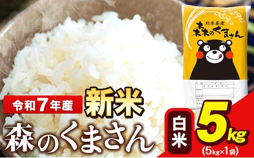 新米 令和7年産 森のくまさん 5kg × 1袋 白米 熊本県産 単一原料米 森くま《7-14日以内に出荷予定(土日祝除く)》送料無料---ng_mk7_wx_12500_5kg_h---
