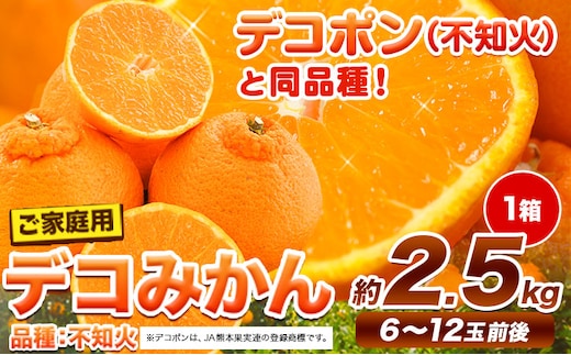 ご家庭用 デコみかん 約2.5kg 6～12玉前後《2026年2月上旬-4月末頃出荷》デコポン（不知火）と同品種 熊本県産 熊本県 長洲町 訳あり---ng_dkmkn_af24_r7_7000_2500g---