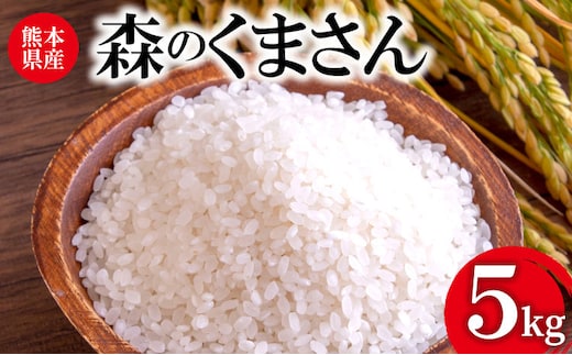 令和7年産 森のくまさん 5kg 株式会社羽根《60日以内に出荷予定(土日祝除く)》熊本県産 白米 精米 森くま もりくま 米---sn_hnmori7_60d_25_15000_5kg---