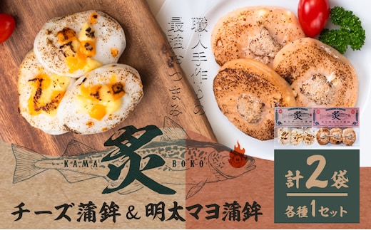 蒲鉾 笹かま 炙り蒲鉾セット 2種 計2袋 徳永蒲鉾店《30日以内に出荷予定(土日祝除く)》蒲鉾 さつま揚げ 揚げ物 練り物 おつまみ 海鮮 ビール に合う ギフト お土産 チーズ めんたいこ 国産 真空 魚 おかず 弁当 惣菜 アウトドア BBQ かまぼこ 小分け---sn_ctokuabch_30d_r7_9500_2p---