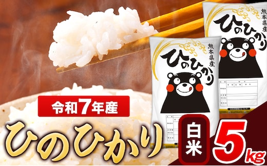 令和7年産 ひのひかり 白米 5kg 《7-14日以内に出荷予定(土日祝除く)》 5kg×1袋 熊本県産 米 精米 ひの 長洲町---ng_hn7_wx_12500_5kg_h---