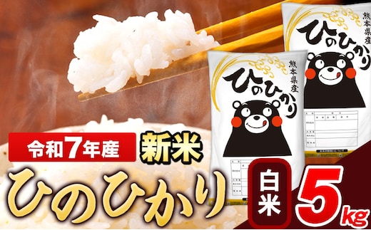 新米 令和7年産 ひのひかり 白米 5kg 《7-14日以内に出荷予定(土日祝除く)》 5kg×1袋 熊本県産 米 精米 ひの 長洲町---ng_hn7_wx_12500_5kg_h---