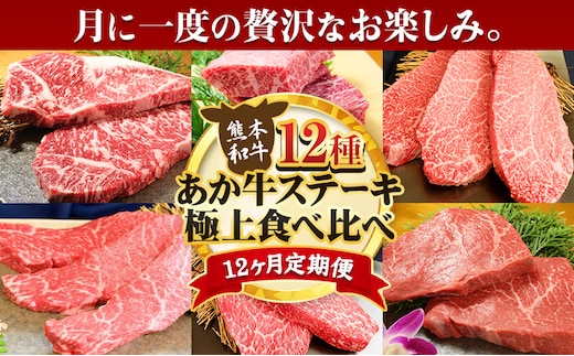 【12ヶ月定期便】あか牛 ステーキ 12種 極上 食べ比べ 定期便 12回《お申込み月の翌月から出荷開始》有限会社 三協畜産 サーロイン ランプ 肩ロース イチボ 三角バラ カイノミ ミスジ クリミ ザブトン シャトーブリアン リブロース モモ あか牛のたれ付き---sn_fsa12tei_r7_500000_mo12num1---