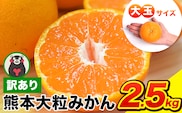 ご家庭用 熊本 大粒みかん 約2.5kg (3L～5Lサイズ)大玉 みかん 先行予約 熊本 ちょっと 訳あり 傷 たっぷり 熊本県産 熊本県 期間限定 フルーツ 旬 柑橘 長洲町 大粒みかん《2026年1月中旬-2月末頃出荷》みかん みかん みかん みかん みかん みかん みかん みかん みかん みかん---fn_notbmkn_bc1_r7_5000_2500g---