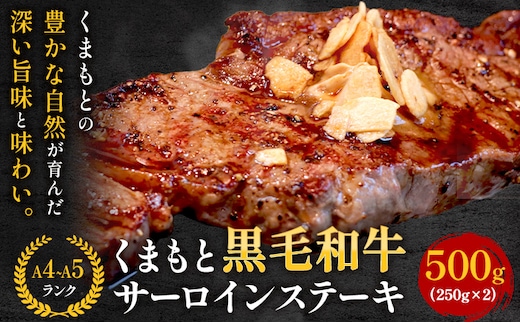 【A4～A5】くまもと黒毛和牛 サーロインステーキ 500g《30日以内に出荷予定(土日祝除く)》 牛肉 くまもと黒毛和牛 黒毛和牛 冷凍庫 サーロイン ステーキ---sn_fespsa_30d_r7_22500_500g---