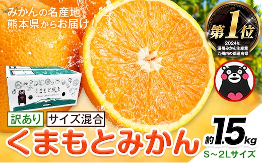みかん 訳あり くまもとみかん 約1.5kg S-2Lサイズ サイズ混合 ご家庭用《7-14日以内に出荷予定(土日祝除く)》 訳あり みかん フルーツ サイズ混合 秋 旬 柑橘 熊本県 長洲町 熊本県産 長洲町産含む---ng_wkmkn_wx_4500_15k---