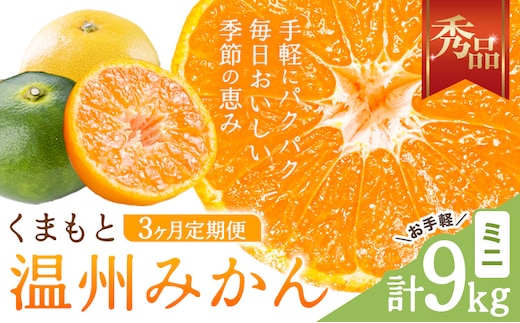 【3ヶ月定期便】みかん 定期便 秀品 温州みかん ミニ 計9kg 日本フルーツ株式会社《10月上旬-12月末頃出荷》熊本県 長洲町 ミカン 蜜柑 柑橘類 極早生 早生 中生 果物 フルーツ---sn_nfumtei_23000_mini_oct3---