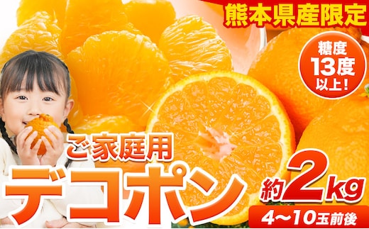先行予約 ご家庭用 デコポン 訳ありデコポン約2kg 前後 (約4-10玉前後)《2027年4月上旬-5月上旬頃出荷》不知火 熊本県産 熊本県 長洲町 糖度13度以上---ng_deko_4j5j_r8_7500_2kg----