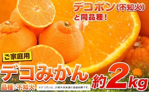 ご家庭用 デコみかん 約2kg 前後 (約4-10玉前後)《2027年2月上旬-4月上旬頃出荷》デコポン（不知火）と同品種 熊本県産 熊本県 長洲町 訳あり---ng_dkmkn_2j4j_r8_6500_2kg---