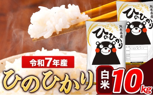 令和7年産 ひのひかり 白米 10kg 《7-14日以内に出荷予定(土日祝除く)》 5kg×2袋 熊本県産 米 精米 ひの 熊本県 長洲町---ng_hn7_wx_24500_10kg_h---