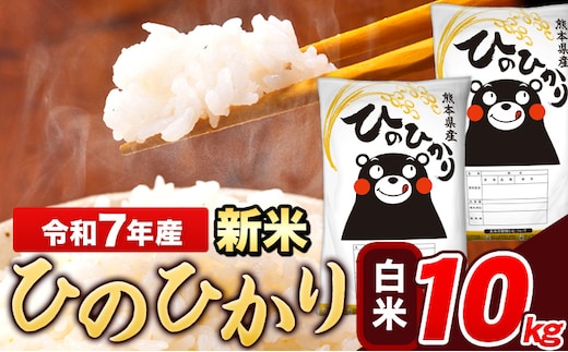 新米 令和7年産 ひのひかり 白米 10kg 《7-14日以内に出荷予定(土日祝除く)》 5kg×2袋 熊本県産 米 精米 ひの 熊本県 長洲町---ng_hn7_wx_24500_10kg_h---