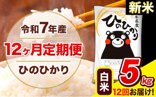 新米 令和7年産 新米 ひのひかり 【12ヶ月定期便】 白米 5kg (5kg×1袋) 計12回お届け 《お申込み翌月から出荷》 熊本県産 白米 精米 ひの 米 こめ お米 熊本県 長洲町---hn7tei_150000_5kg_mo12_ng_h---