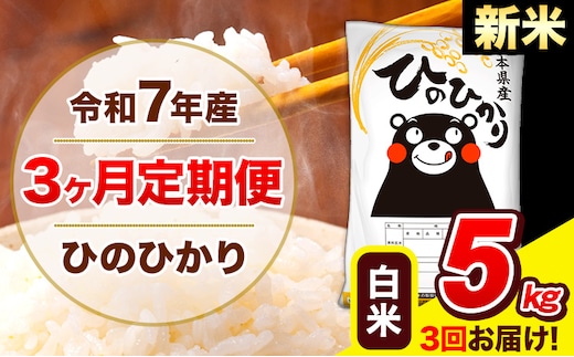 新米 令和7年産 新米 ひのひかり 【3ヶ月定期便】 白米 5kg (5kg×1袋) 計3回お届け 《お申込み翌月から出荷》 熊本県産 白米 精米 ひの 米 こめ お米 熊本県 長洲町---hn7tei_37500_5kg_mo3_ng_h---