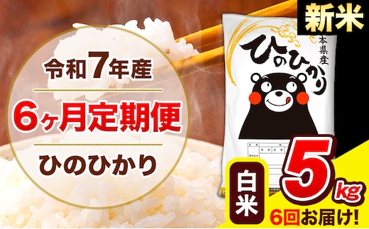 新米 令和7年産 新米 ひのひかり 【6ヶ月定期便】 白米 5kg (5kg×1袋) 計6回お届け 《お申込み翌月から出荷》 熊本県産 白米 精米 ひの 米 こめ お米 熊本県 長洲町---hn7tei_75000_5kg_mo6_ng_h---