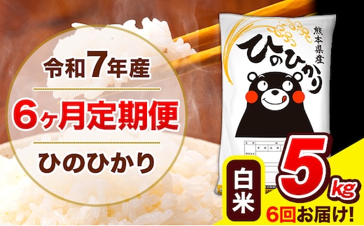 令和7年産 ひのひかり 【6ヶ月定期便】 白米 5kg (5kg×1袋) 計6回お届け 《お申込み翌月から出荷》 熊本県産 白米 精米 ひの 米 こめ お米 熊本県 長洲町---hn7tei_75000_5kg_mo6_ng_h---