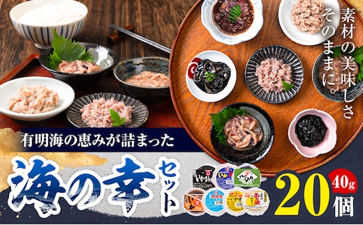 内野海産の海の幸セット 20個入り 《45日以内に出荷予定(土日祝除く)》あみ漬 いか 海苔 佃煮 塩辛 いかすみ---sn_cuchisaci20_45d_r7_17500_800g---