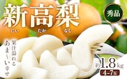 【2026年先行予約】 梨 新高梨 約 1.8kg 4～7玉 日本フルーツ株式会社《9月上旬-10月上旬頃出荷》熊本県 荒尾市 新高梨 梨 果物 フルーツ スイーツ デザート ギフト ご贈答---sn_nfntn_ad9_r8_10500_1800g---
