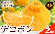 デコポン 約2kg 日本フルーツ株式会社 熊本県 長洲町 《2026年1月下旬-2月末頃出荷予定》 熊本県 長洲町 送料無料 デコポン 果物 秀品---sn_nfdk_cf1_25_12500_2kg---