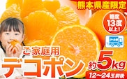 先行予約 訳あり デコポン 約5kg 前後 (約12-24玉前後)《2026年2月上旬-4月末頃出荷》 デコポン みかん 不知火 熊本県産 (長洲町産含む) 糖度13度以上 フルーツ 旬 柑橘 しらぬい---ng_deko_af24_r7_15000_5kg---