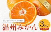 温州みかん 約3kg 日本フルーツ株式会社 熊本県 長洲町 《10月中旬-2月下旬頃出荷予定（土日祝除く）》 果物 秀品 フルーツ スイーツ デザート ギフト ご贈答---sn_nfum_k102_25_7500_3kg---