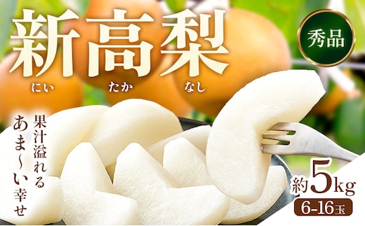 【2026年先行予約】 梨 新高梨 約5kg（6～16玉） 日本フルーツ株式会社《9月上旬-10月上旬頃出荷》熊本県 荒尾市 新高梨 梨 果物 フルーツ スイーツ デザート ギフト ご贈答---sn_nfntn_ad9_r8_16500_5kg---