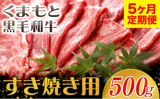 【5ヶ月定期便】牛肉 くまもと黒毛和牛 すき焼き用 500g 長洲町L（桜屋）《お申込み月の翌月から出荷開始》 定期 計5回お届け 熊本県 長洲町 送料無料 黒毛和牛 牛肉 肉 すき焼き---sn_f501kwsktei_r7_81500_mo5num1---