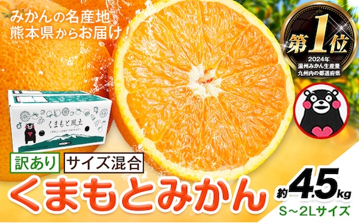 みかん 訳あり くまもとみかん 約4.5kg S-2Lサイズ サイズ混合 ご家庭用《7-14日以内に出荷予定(土日祝除く)》 訳あり みかん フルーツ サイズ混合 秋 旬 柑橘 熊本県 長洲町 熊本県産 長洲町産含む---ng_wkmkn_wx_9000_45k---