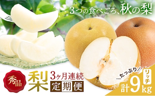 【3ヶ月定期便】梨 定期便 秀品 3ヶ月連続 梨の定期便 リッチ 計9kg 日本フルーツ株式会社《8月上旬-10月末頃出荷》熊本県 長洲町 なし ナシ 豊水梨 秋月梨 新高梨 果物 フルーツ---sn_cnfzntei_41000_rich_aug3---