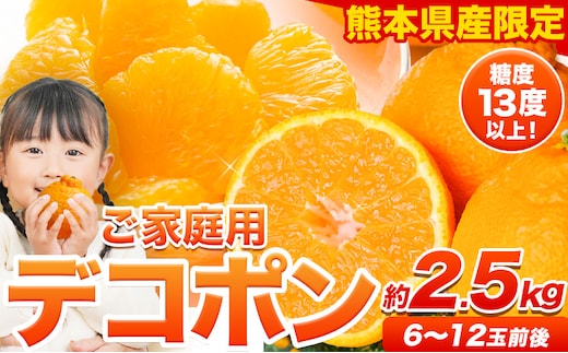 ご家庭用 デコポン デコポン約2.5kg前後(約6-12玉前後)《2026年2月上旬-4月末頃出荷》不知火 熊本県産 熊本県 長洲町 糖度13度以上---ng_deko_af24_r7_8000_2500g----