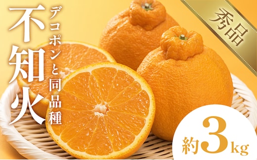 不知火（デコポン同品種） 約3kg 日本フルーツ株式会社 熊本県 長洲町 《2026年1月下旬-2月末頃出荷予定》 デコポン 果物 秀品 フルーツ スイーツ デザート ギフト ご贈答---sn_nfsrn_cf1_25_10500_3kg---