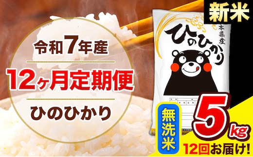 新米 令和7年産 新米 ひのひかり 【12ヶ月定期便】 無洗米 5kg (5kg×1袋) 計12回お届け 《お申込み翌月から出荷》 熊本県産 無洗米 精米 ひの 米 こめ お米 熊本県 長洲町---hn7tei_150000_5kg_mo12_ng_m---
