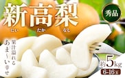 【2026年先行予約】 梨 新高梨 約5kg（6～16玉） 日本フルーツ株式会社《9月上旬-10月上旬頃出荷》熊本県 荒尾市 新高梨 梨 果物 フルーツ スイーツ デザート ギフト ご贈答---sn_nfntn_ad9_r8_16500_5kg---