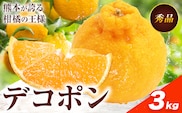 デコポン 約3kg 日本フルーツ株式会社 熊本県 長洲町 《2026年1月下旬-2月末頃出荷予定》 熊本県 長洲町 送料無料 デコポン 果物 秀品---sn_nfdk_cf1_25_17000_3kg---