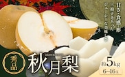 【2026年先行予約】 梨 秀品 秋月梨 約5kg（6～16玉） 日本フルーツ《9月上旬-9月末頃出荷》熊本県 長洲町 なし 梨 果物 フルーツ デザート ギフト ご贈答---sn_cnfakn_ac9_r8_16500_5kg---