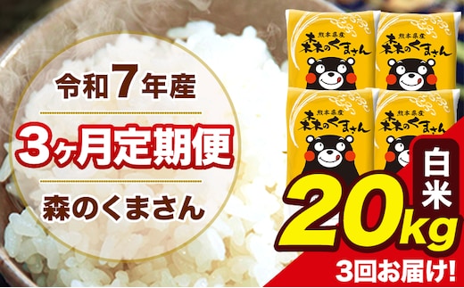 令和7年産 森のくまさん 【3ヶ月定期便】白米 20kg 5kg×4袋 計3回お届け 《お申込み翌月から出荷》 お米 こめ 熊本県産 ご飯 備蓄---mk7tei_145500_20kg_mo3_ng_h---
