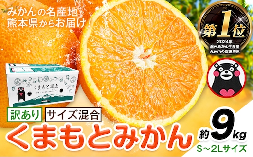 みかん 訳あり くまもとみかん 約9kg S-2Lサイズ サイズ混合 ご家庭用《7-14日以内に出荷予定(土日祝除く)》 訳あり みかん フルーツ サイズ混合 秋 旬 柑橘 熊本県 長洲町 熊本県産 長洲町産含む---ng_wkmkn_wx_13500_9kg---