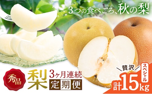 【3ヶ月定期便】梨 定期便 秀品 3ヶ月連続 梨の定期便 スペシャル 計15kg 日本フルーツ株式会社《8月上旬-10月末頃出荷》熊本県 長洲町 なし ナシ 豊水梨 秋月梨 新高梨 果物 フルーツ---sn_cnfzntei_49000_special_aug3---
