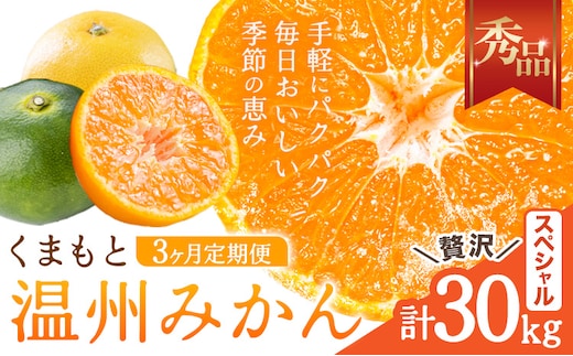 【3ヶ月定期便】みかん 定期便 秀品 温州みかん ペシャル 計30kg 日本フルーツ株式会社《10月上旬-12月末頃出荷》熊本県 長洲町 ミカン 蜜柑 柑橘類 極早生 早生 中生 果物 フルーツ---sn_nfumtei_41000_special_oct3---