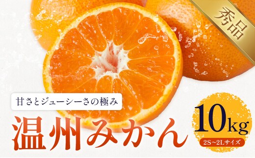 温州みかん 約10kg 日本フルーツ株式会社 熊本県 長洲町 《10月中旬-2月下旬頃出荷予定（土日祝除く）》 果物 秀品 フルーツ スイーツ デザート ギフト ご贈答---sn_nfum_k102_25_13500_10kg---