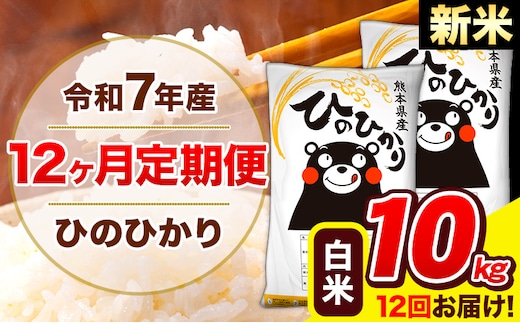 新米 令和7年産 ひのひかり 【12ヶ月定期便】 白米 10kg (5kg×2袋) 計12回お届け 《お申込み翌月から出荷》 熊本県産 白米 精米 ひの 米 こめ お米 熊本県 長洲町---hn7tei_294000_10kg_mo12_ng_h---