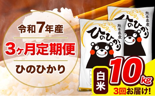 令和7年産 ひのひかり 【3ヶ月定期便】 白米 10kg (5kg×2袋) 計3回お届け 《お申込み翌月から出荷》 熊本県産 白米 精米 ひの 米 こめ お米 熊本県 長洲町---hn7tei_73500_10kg_mo3_ng_h---